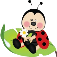 ladybug-removebg-preview
